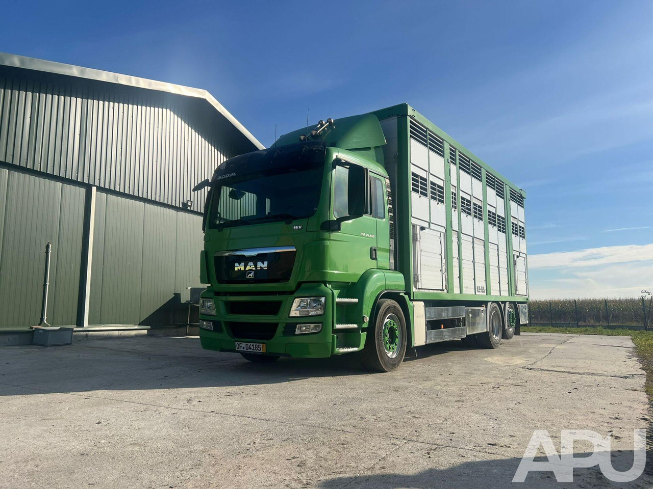 MAN TGS 26.440 DO PRZEWOZU BYDŁA - 가축 트럭 : 사진 1 MAN TGS 26.440 DO PRZEWOZU BYDŁA - 가축 트럭 : 사진 1