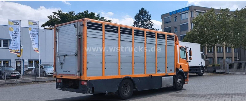 DAF CF 400 - Animal transporter - 가축 트럭 : 사진 4 DAF CF 400 - Animal transporter - 가축 트럭 : 사진 4