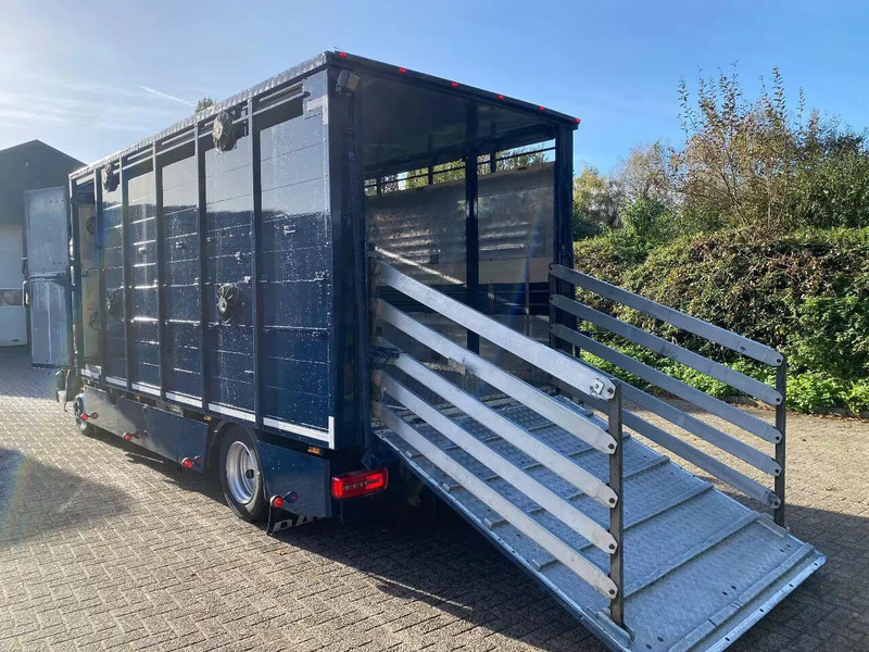 DAF LF 280 - 가축 트럭 : 사진 5 DAF LF 280 - 가축 트럭 : 사진 5