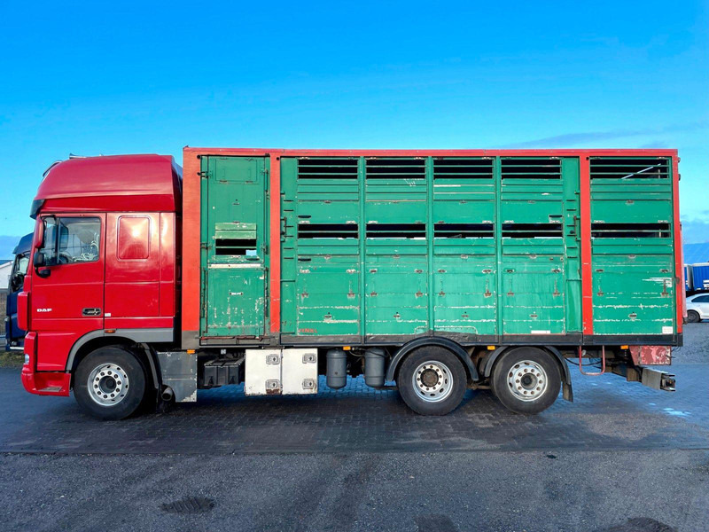 DAF XF 105.460 2-Stock Finkl Viehaufbau / Lenkachs - 가축 트럭 : 사진 5 DAF XF 105.460 2-Stock Finkl Viehaufbau / Lenkachs - 가축 트럭 : 사진 5