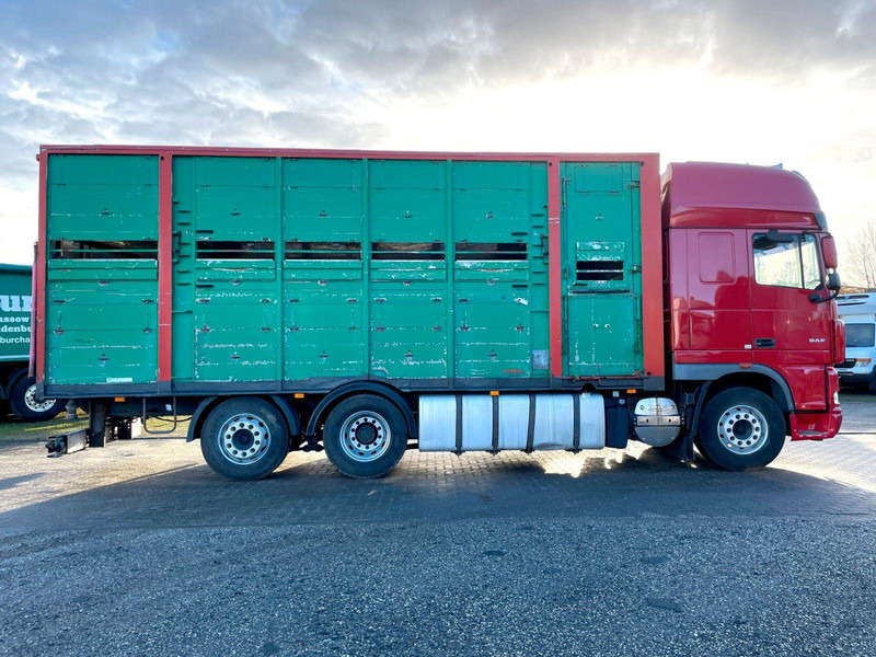 DAF XF 105.460 2-Stock Finkl Viehaufbau / Lenkachs - 가축 트럭 : 사진 4 DAF XF 105.460 2-Stock Finkl Viehaufbau / Lenkachs - 가축 트럭 : 사진 4