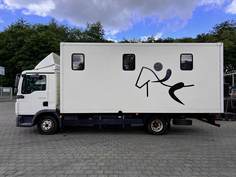 MAN TGL 8.180 - Horse transporter - 말 수송 트럭 : 사진 3 MAN TGL 8.180 - Horse transporter - 말 수송 트럭 : 사진 3