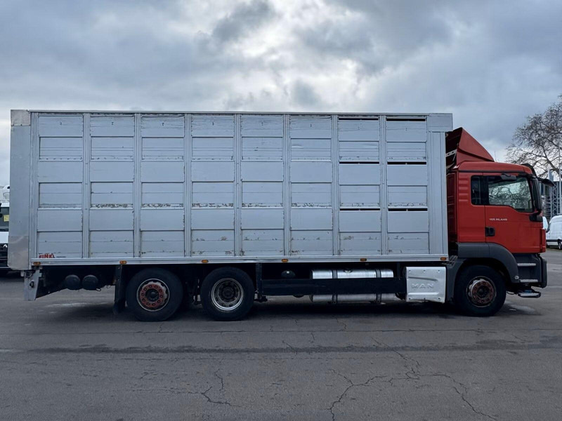 MAN TGS 26.440 - Animal transporter - 가축 트럭 : 사진 4 MAN TGS 26.440 - Animal transporter - 가축 트럭 : 사진 4