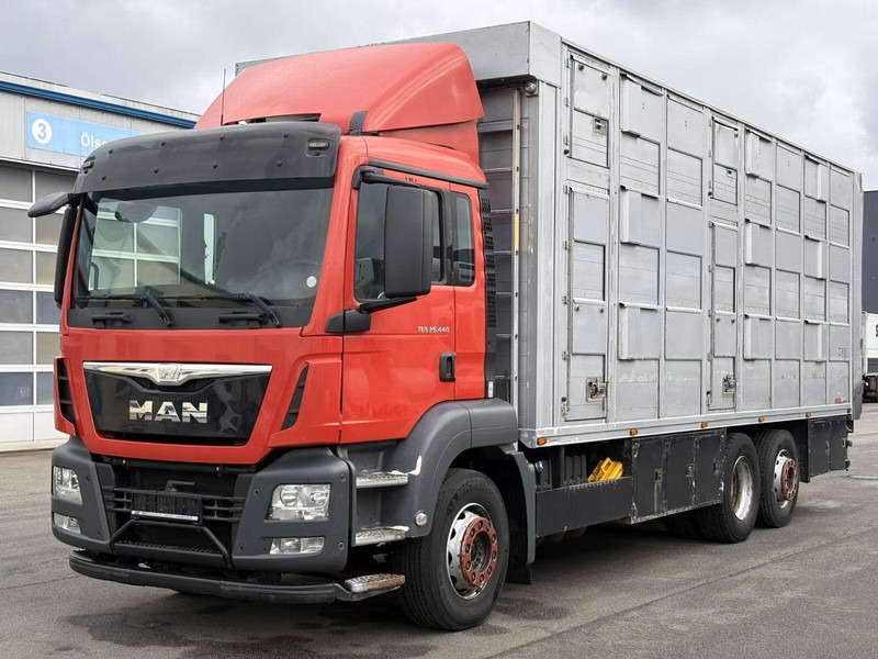 MAN TGS 26.440 - Animal transporter - 가축 트럭 : 사진 1 MAN TGS 26.440 - Animal transporter - 가축 트럭 : 사진 1