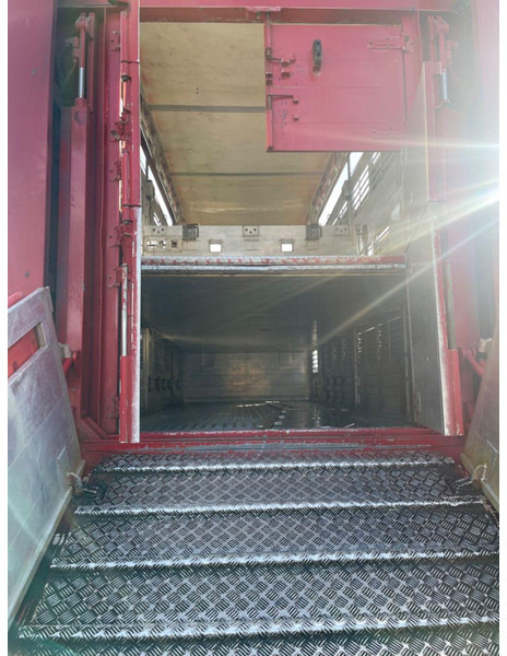 가축 트럭 MAN TGX 26.400 6x2-2 LL 3 Stück Finkl Hubdach : 사진 10 가축 트럭 MAN TGX 26.400 6x2-2 LL 3 Stück Finkl Hubdach : 사진 10