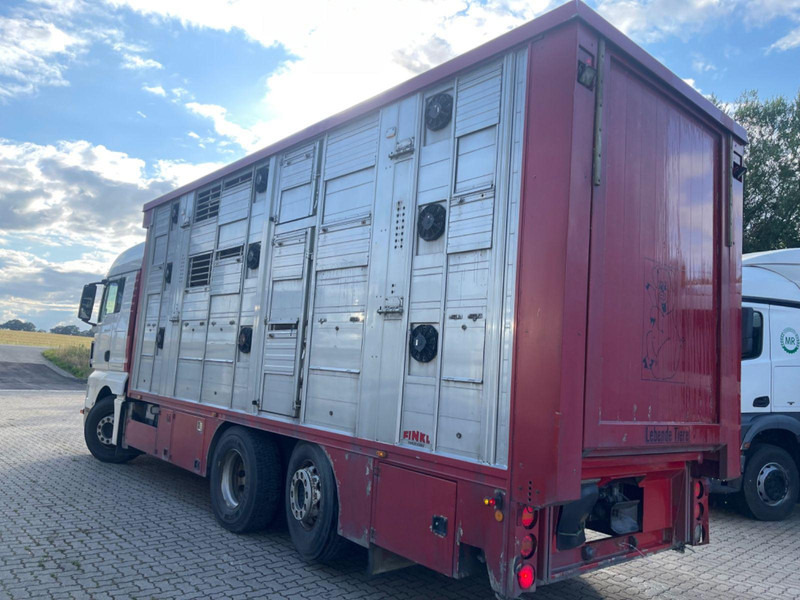 가축 트럭 MAN TGX 26.400 6x2-2 LL 3 Stück Finkl Hubdach : 사진 6 가축 트럭 MAN TGX 26.400 6x2-2 LL 3 Stück Finkl Hubdach : 사진 6