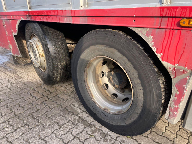 가축 트럭 MAN TGX 26.400 6x2-2 LL 3 Stück Finkl Hubdach : 사진 16 가축 트럭 MAN TGX 26.400 6x2-2 LL 3 Stück Finkl Hubdach : 사진 16