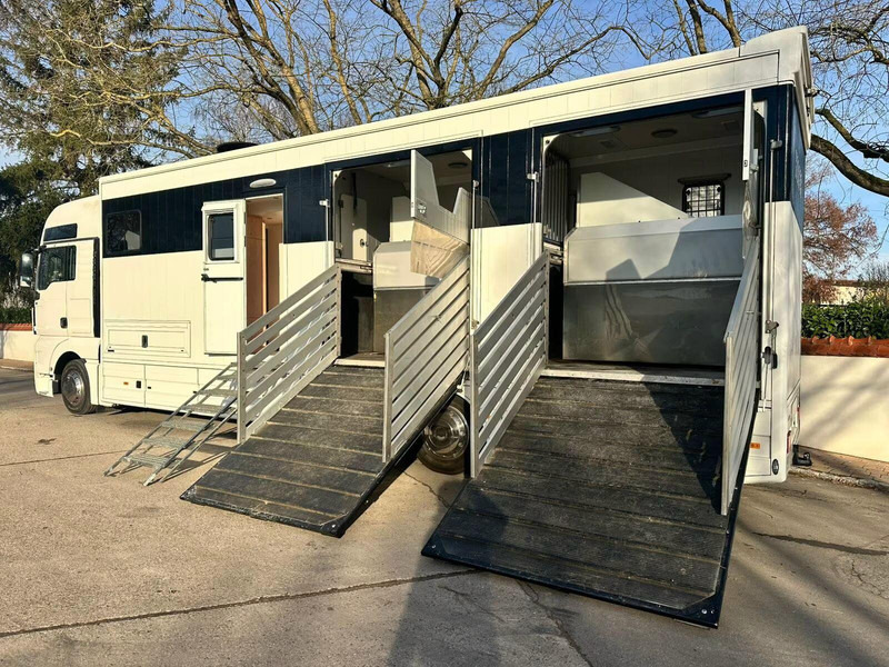 MAN TGX 26.440 - Horse transporter - 말 수송 트럭 : 사진 5 MAN TGX 26.440 - Horse transporter - 말 수송 트럭 : 사진 5