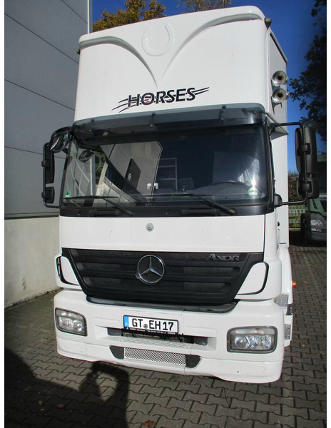 Mercedes-Benz Axor 1833 - Horse transporter - 말 수송 트럭 : 사진 3 Mercedes-Benz Axor 1833 - Horse transporter - 말 수송 트럭 : 사진 3