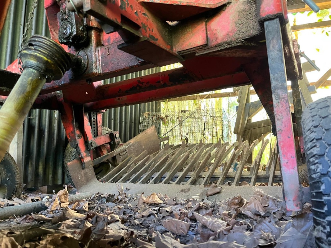 Fobro 1000 - 감자 수확기 : 사진 2 Fobro 1000 - 감자 수확기 : 사진 2