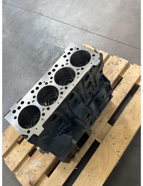 MAN TGL TGM D0834 RECONDITIONED WITH WARRANTY - 엔진 트럭 용 : 사진 2 MAN TGL TGM D0834 RECONDITIONED WITH WARRANTY - 엔진 트럭 용 : 사진 2
