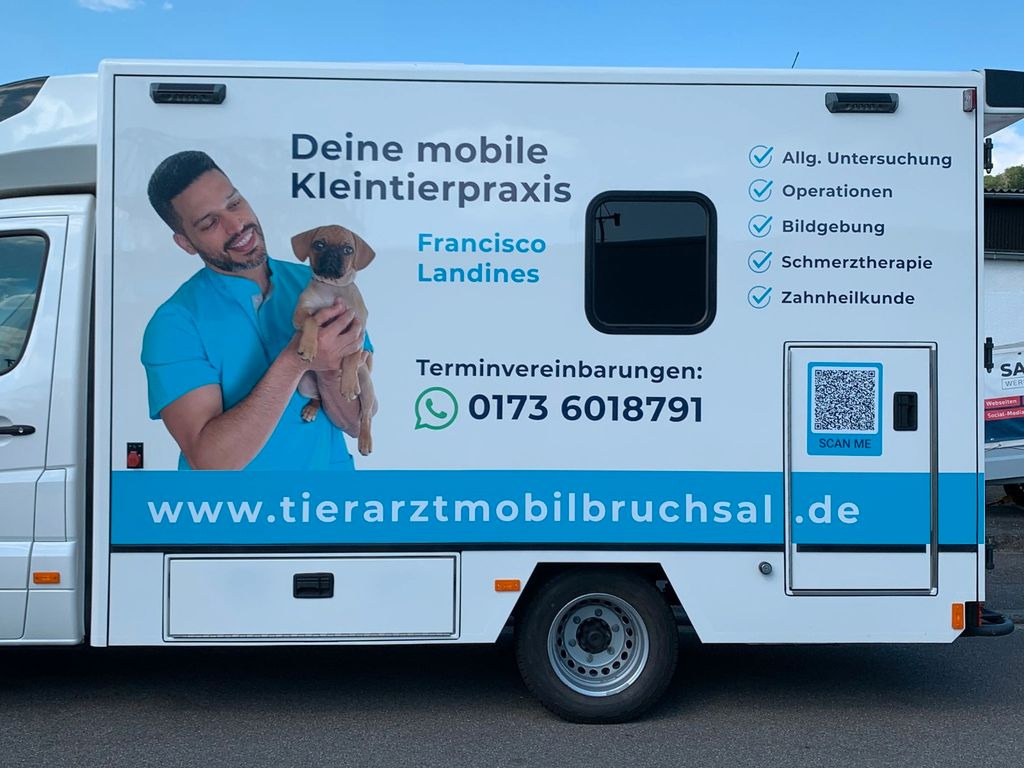 Mercedes-Benz Sprinter 519 Tierarzt Garantie Mercedes-Benz Sprinter 519 Tierarzt Garantie - 구급차 : 사진 3 Mercedes-Benz Sprinter 519 Tierarzt Garantie Mercedes-Benz Sprinter 519 Tierarzt Garantie - 구급차 : 사진 3