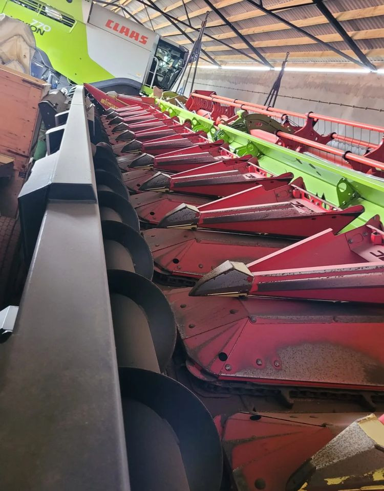 Olimac Drago II - 유채 헤더 확장 : 사진 2 Olimac Drago II - 유채 헤더 확장 : 사진 2