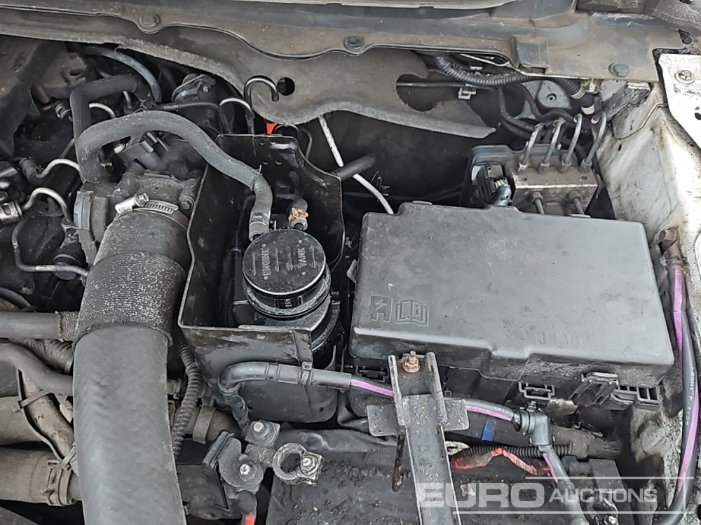 픽업트럭 2014 Ford Ranger : 사진 18 픽업트럭 2014 Ford Ranger : 사진 18