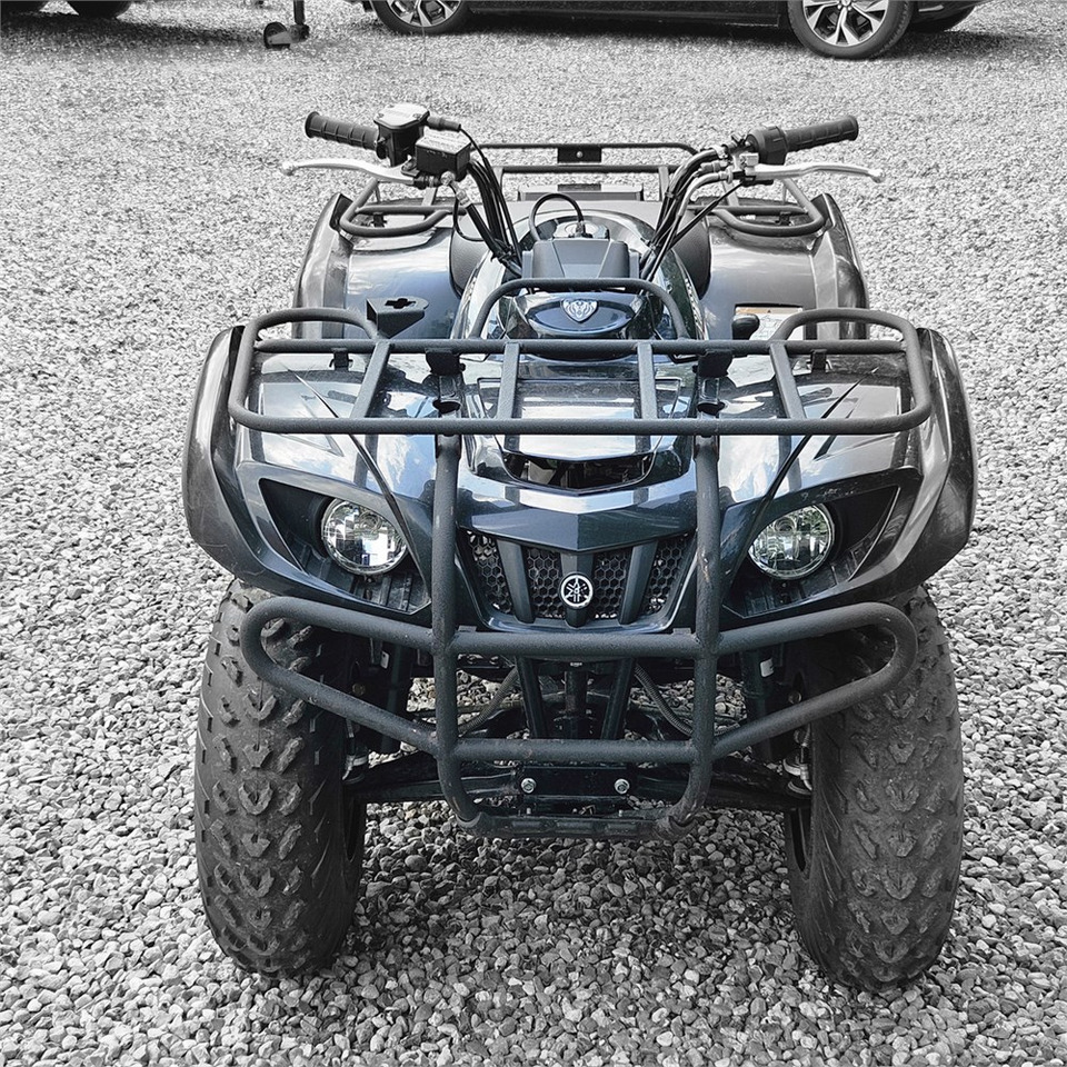 Yamaha YFM 250 - 사이드 바이 사이드/ ATV : 사진 2 Yamaha YFM 250 - 사이드 바이 사이드/ ATV : 사진 2