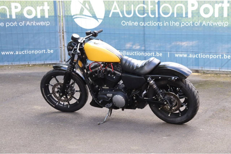 Harley-Davidson Sporster XL 883 Iron - 오토바이 : 사진 3 Harley-Davidson Sporster XL 883 Iron - 오토바이 : 사진 3
