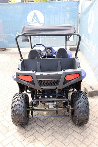 Wextrem UTV-ATV 200Pro - 골프 카트 : 사진 4 Wextrem UTV-ATV 200Pro - 골프 카트 : 사진 4