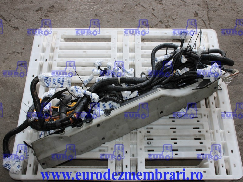 INSTALATIE ELECTRICA MOTOR MAN D2676 LF51 81.25459.6956 - 케이블/ 와이어 하니스 트럭 용 : 사진 1 INSTALATIE ELECTRICA MOTOR MAN D2676 LF51 81.25459.6956 - 케이블/ 와이어 하니스 트럭 용 : 사진 1