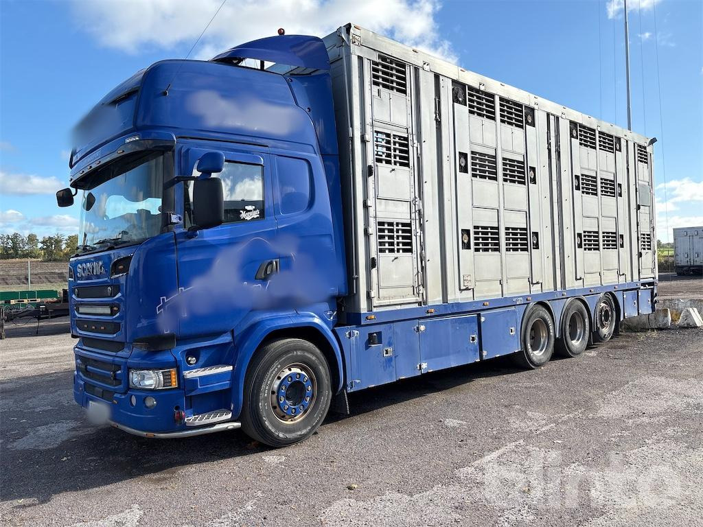 SCANIA R580 - 가축 트럭 : 사진 1 SCANIA R580 - 가축 트럭 : 사진 1