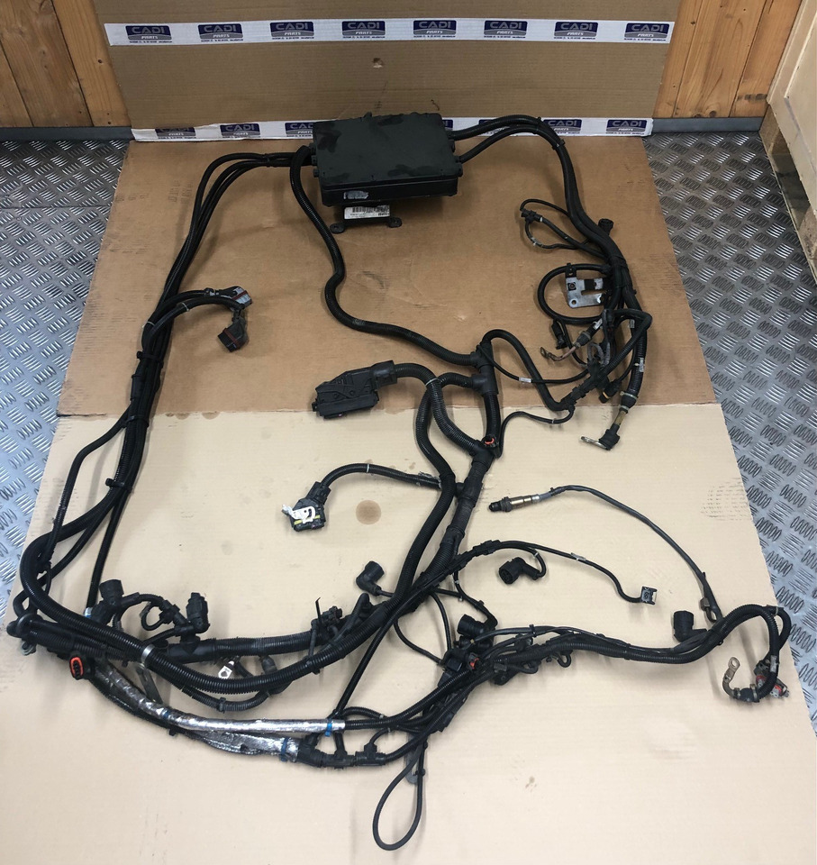 FASCIA CAVI MOTORE MAN 81254246448 - 케이블/ 와이어 하니스 트럭 용 : 사진 1 FASCIA CAVI MOTORE MAN 81254246448 - 케이블/ 와이어 하니스 트럭 용 : 사진 1